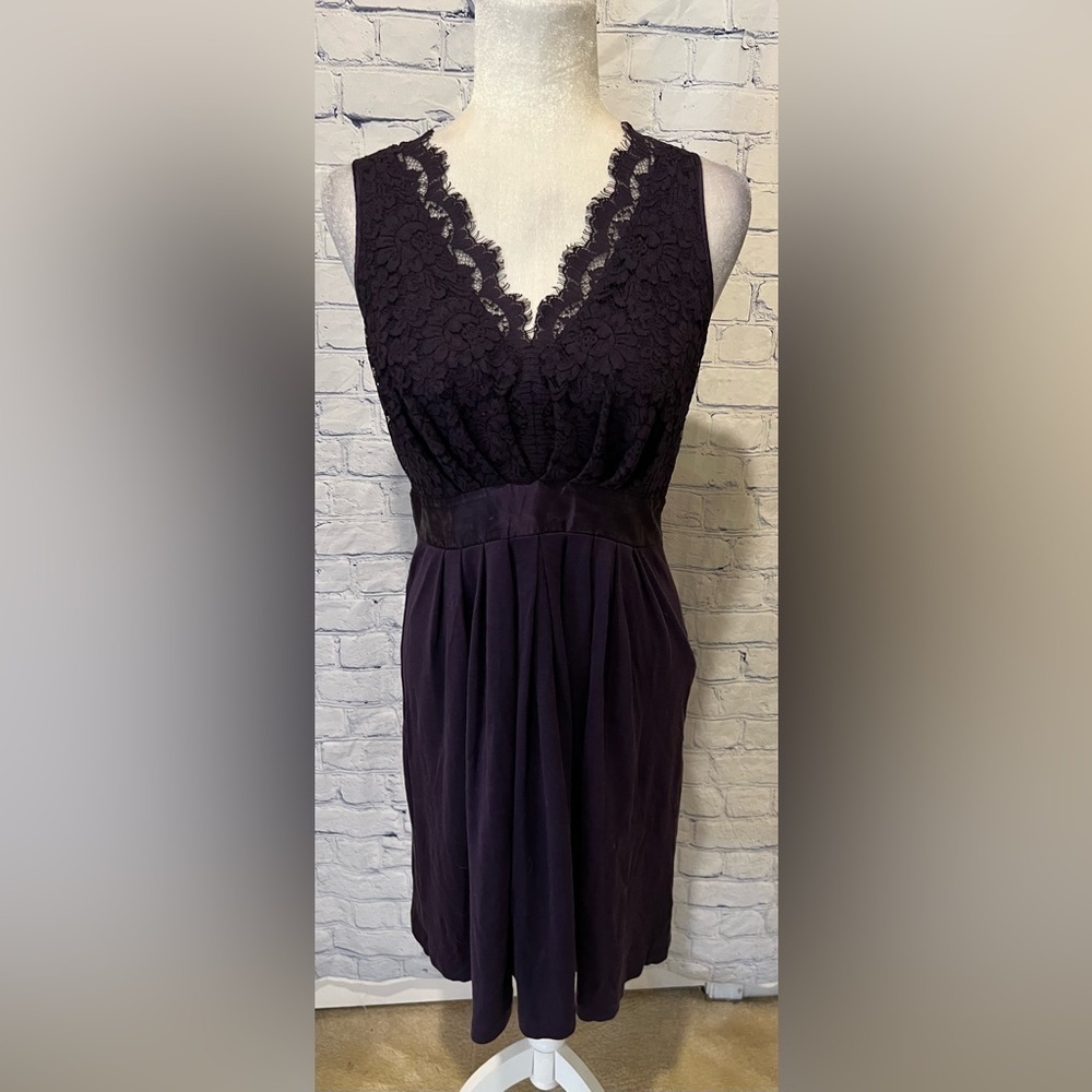 Banana Republic Womens Black And Purple Lace Side Zip Fit & Flare Dress 10